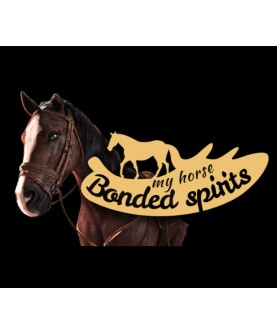 My Horse: Bonded Spirits Steam Key GLOBAL